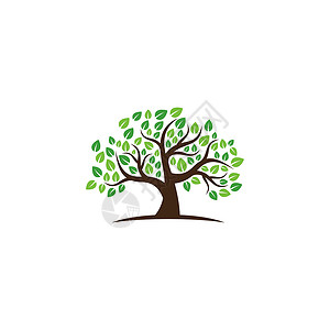 抽象树标志设计 绿树和叶子 根向量生命之树标志设计的灵感与白色背景隔离树干公园花园生物植物橡木公司环境草图生态背景图片