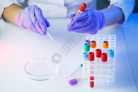 粉紫色实验室医学专家 实验室助理 医生在实验室进行分析 使用试管 移液器和培养皿来检测人体中细菌的存在手套玻璃研究团体技术管子药品教育实验测背景