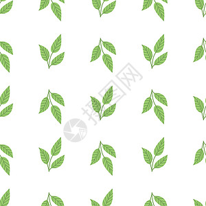 茶叶叶底白色背景的茶叶叶 平手绘画风格的矢量无缝模式设计图片