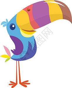 坎宾Toucan 漫画 图ucan 鸟的矢量图标 外来鸟类插图贴纸翅膀鹦鹉蓝色热带荒野打印卡通片羽毛收藏插画