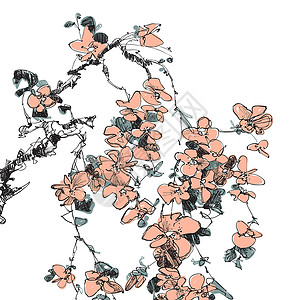 浅草树花草图花朵艺术花瓣树叶花园涂鸦植物粉色手绘背景图片