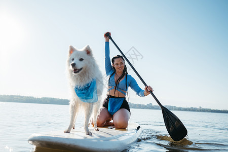 日本斯皮茨与宠物一起在城市湖上划踏板 雪白日本史匹兹狗站在Sup委员会背景
