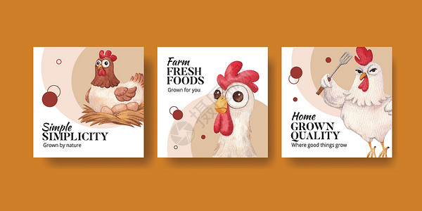 含有养鸡场食品概念 水色风格的板条模板农业家禽卡通片营销啤酒食物餐厅村庄农家院公鸡背景图片
