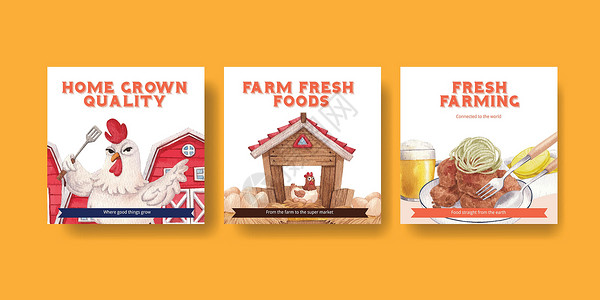 含有养鸡场食品概念 水色风格的板条模板广告农场卡通片水彩插图小鸡营销农家院餐厅村庄背景图片