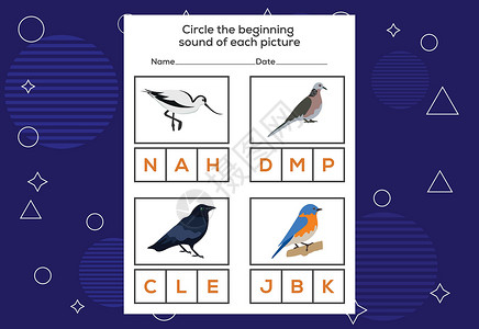 套圈圈游戏每只鸟的起始声音圈 孩子们的教育游戏 T翅膀教训动物活动学习哺乳动物工作幼儿园鸽子英语插画