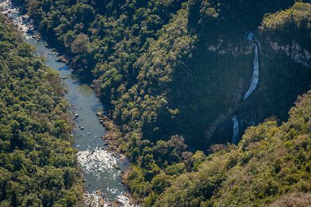里奥格兰德河环境森林高清图片