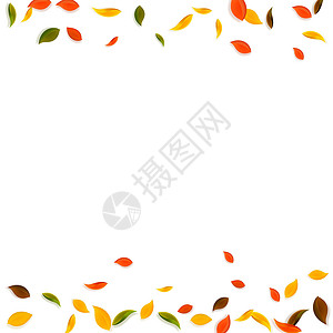 绿藤边框秋天落叶 红 黄 绿 棕C植物群漩涡花斑边框日落销售生物叶子快乐学校设计图片