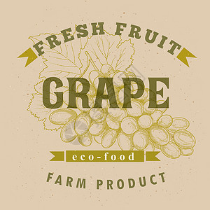 葡萄标签设计叶子藤蔓框架边界横幅葡萄园水果插图徽章紫色背景图片