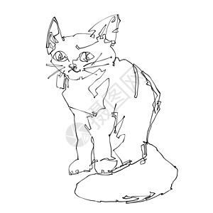 猫猫绘图草图宠物白色黑色线条一条线动物艺术插图绘画背景图片