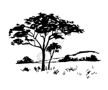 诗画草原非洲日落的光影 矢量黑色风景 树与白色背景隔绝 手画草图设计图片