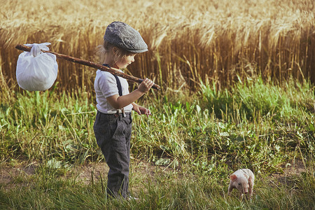 小旅行者在野外碰到一只小猪孩子猪圈小麦会议农业收成畜牧业逃犯农村农场背景图片