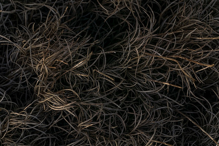 燃烧的草草状抽象灰色背景墙纸危险场景野火煤炭纯色草地场地损害生长背景图片