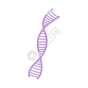 克隆白色背景上的矢量平面手画样式图解 双DNA helix插画