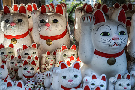 邀请猫 东京 上岛 的图片动物装饰品邀请函十二生肖陶器风格陷阱血管宠物传统背景图片