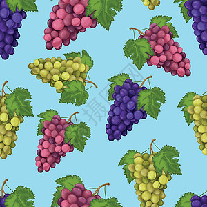 蓝色藤蔓葡萄 无缝图案与绿色和蓝色葡萄的形象 葡萄图案 与水果的无缝模式 矢量图插画