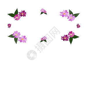 紫色风格花卉漫画设计框架 漂亮的相框套装 带有用于设计拼贴的 Boom 气泡 有趣可爱的儿童漫画照片集 设计绘图叶子生长礼物绘画植物植物学墙设计图片