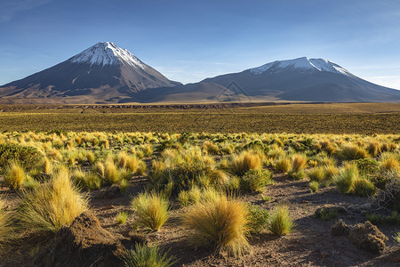 圣佩德罗德穆埃尔日出时的 Licancabur 阿塔卡马 火山景观 智利 南美洲荒野气候戏剧性目的地天空草原衬套晴天地方风景背景