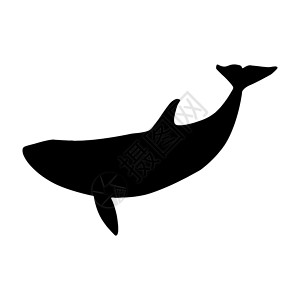隔着白色孤立的矢量鲸黑光影背景图片