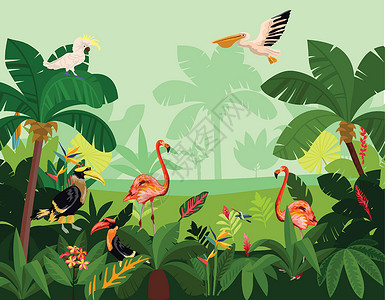 大型动物群鸟鸟飞过茂密的丛林粉红火烈鸟大型鹦鹉矢量说明插画