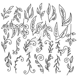 甘菊含有果树叶 轮形树枝和卷状树枝的多面草药和植物插画