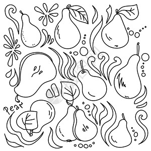 梨子设计素材Doodle 矢量大纲 用于创作和 varius 设计的梨子插画
