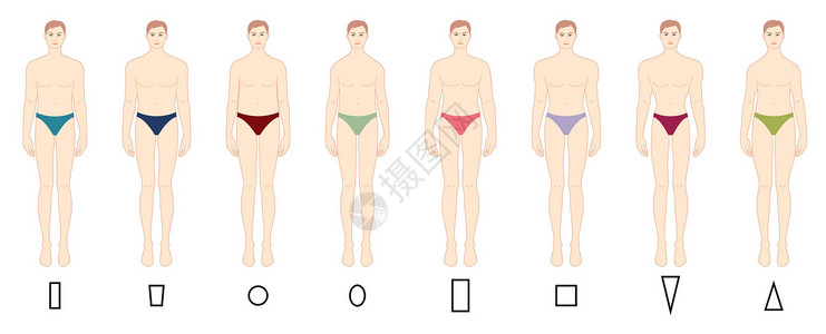 男士内裤体型类型集 三角形 柱形 梯形 圆形 椭圆形 正方形 倒三角形 男性设计图片
