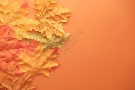 秋天树叶橙色背景 上下背景图片