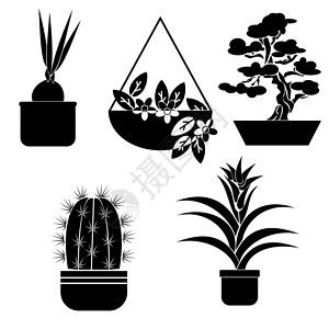 室内黑白室内花筒 罐中不同种类的家用植物和家具插画