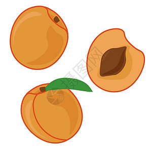 杏子 整片和半半块 一个果汁的橘子水果 硬骨头插画