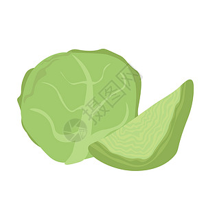 绿色蔬菜菜叶子整半白白卷心菜 健康的绿色蔬菜或菜盘配料插画