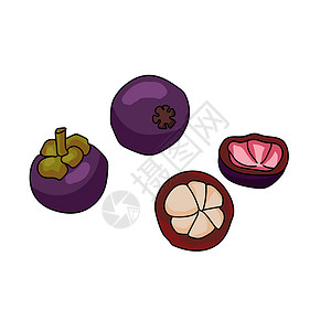 紫山竹芒果套 明亮紫紫红色热带水果 整半满心多汁插画