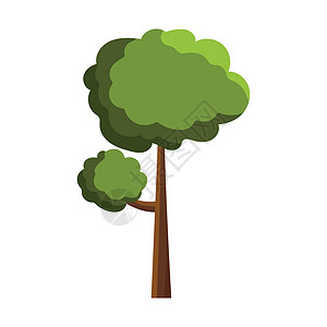 白色背景上的绿树摘要  矢量木头邀请函标识绘画叶子生态季节森林花园墙纸背景图片