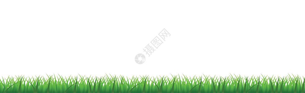 白色背景的绿色多汁绿草全景插图植物杂草环境生态生长土地叶子绘画背景图片
