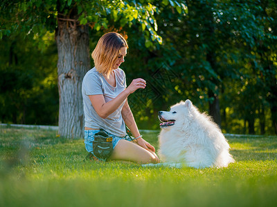 红发的成年女子抚摸着她的狗 在公园里 白毛宠物和情妇在绿草坪上玩得开心友谊犬类快乐毛皮孩子闲暇女孩朋友动物萨摩耶背景图片
