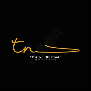 田纳西字母 TN 签名标签模板矢量团队极简主义者商业标识身份刻字写作插图夫妻设计图片