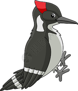 斜颈木皮鸟动物漫画彩色剪贴板插画