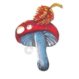 手画红润滑油插图 食用蘑菇背景图片