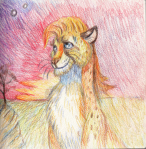拿着铅笔猫手画插图 Gepard 动物图解 水色铅笔背景