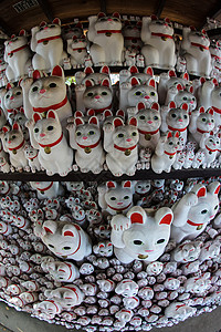 邀请猫 东京 上岛 的图片陶器十二生肖传统配饰百货新年娃娃血管文化玩具背景图片