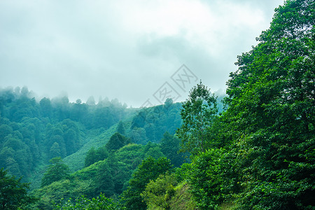 巴赫马罗古里亚格罗吉亚地区的高加索山脉森林蓝色乡村植物绿色旅游小路娱乐旅行天空背景