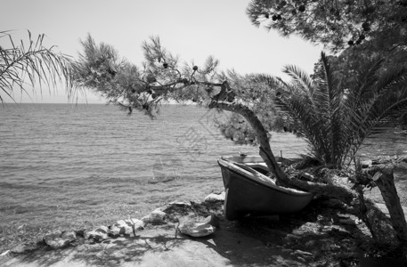 位于希腊梅西尼亚Petalidi的岩石海滩上的天气好渔船地平线沉船风化运输血管晴天海岸木头破坏支撑背景图片