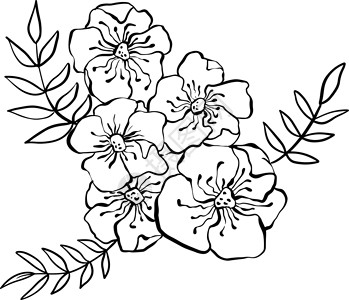 黑白花束花和叶子 面条花纹图解 矢量图解背景图片