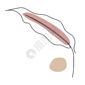 植物树叶线艺术 轮廓绘画 最小化艺术叶子草图插图背景图片