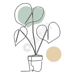 清汤锅底装在锅底线艺术中的植物 轮廓绘画 最小化艺术草图树叶插图设计图片