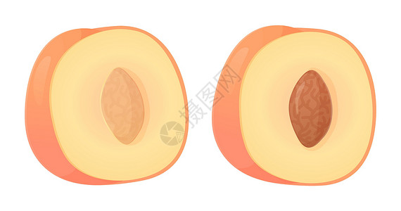 桃片糕半切桃果 可以用于健康饮食 收获自然生态食品概念 以现实的卡通风格显示鱼群矢量图示设计图片