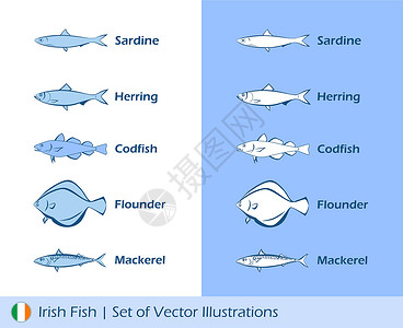 比目鱼爱尔兰鱼的引语插画