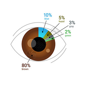 全球眼睛颜色百分比 人眼与饼图 在白色上孤立的平面矢量图背景图片