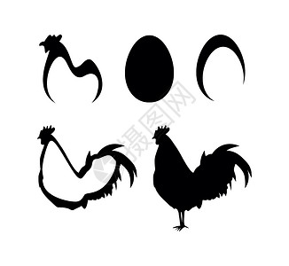 公鸡和母鸡鸡和农场矢量图标羽毛女性动物家畜母鸡插图男性家禽耳朵小麦插画
