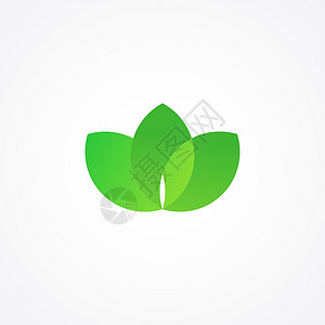 三叶绿色标志环境树叶公司植物生态生物标识白色生活活力背景图片