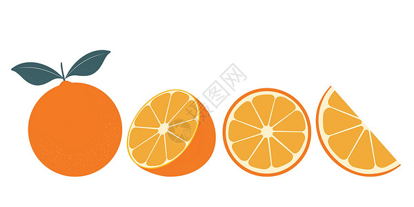 白切猪肚一组新鲜的橙子 白背景上的橘子水果 用于设计和印刷的矢量插图插画